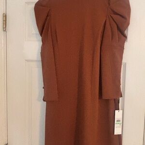 Elegant Brown Women's Dress